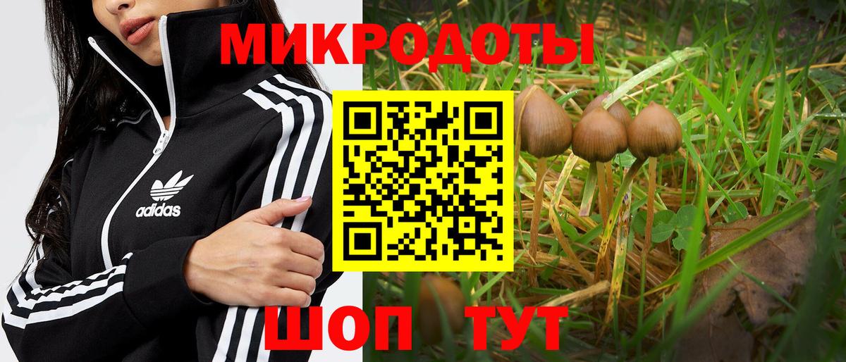 Галлюциногенные грибы Cubensis Белая Калитва